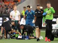 长离不开团 长离不开团