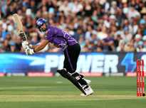 这对于任何 这对于任何